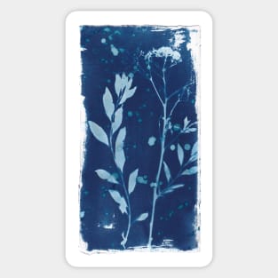 Wildflowers in cyanotype sunprint Sticker